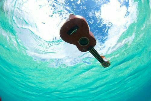 44472290-58FD-4DA8-9B3C-FFF6EECCAB4F