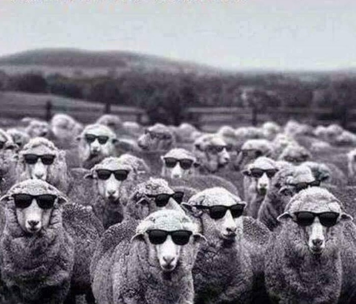 1E9D9702-109B-40CE-BEF7-0B294BE75DF8